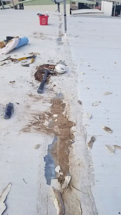 Patio Gardens Mobile Home Park Picture 6