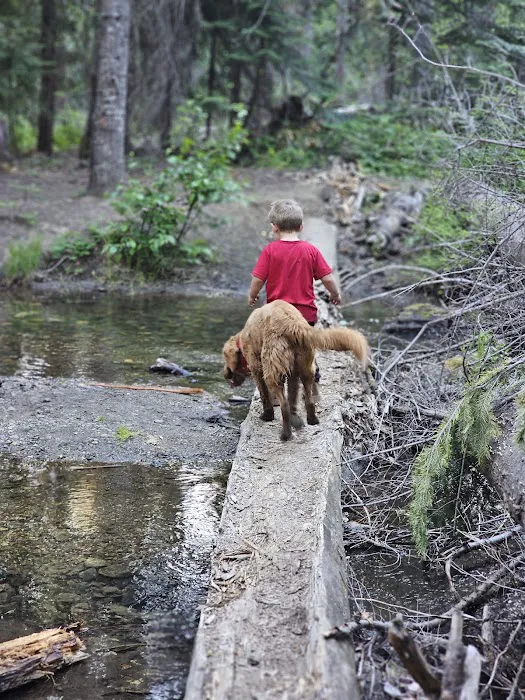 Ponderosa Camp Picture 8
