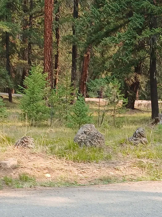 Crow Creek Campground Picture 4