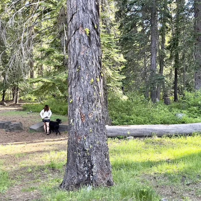Crow Creek Campground Picture 6