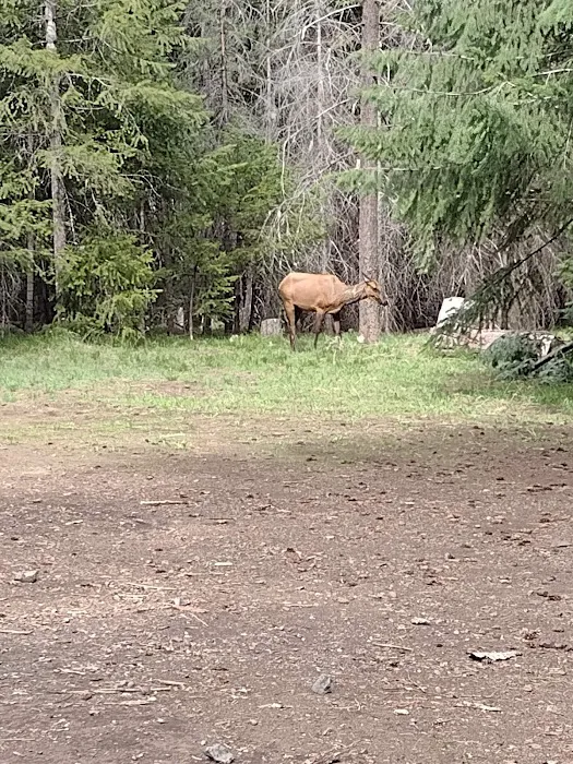 Crow Creek Campground Picture 7