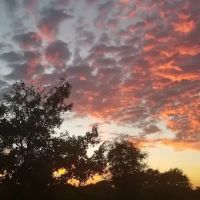 Green-Dickson Park-RV Entrance ico