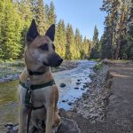 Kaner Flat Group Campsite
