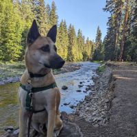 Kaner Flat Group Campsite ico