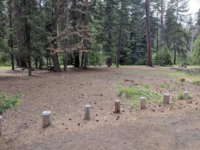 Kaner Flat Group Campsite Picture 7
