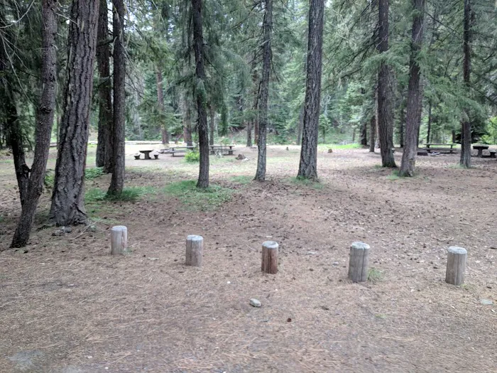 Kaner Flat Group Campsite Picture 8