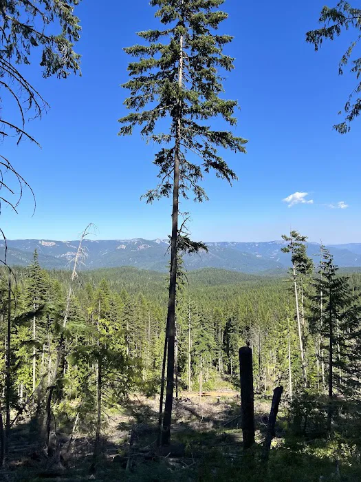 Kaner Flat Campground Picture 10