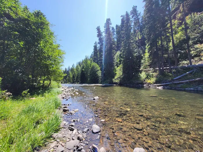 Little Naches Campground Picture 2