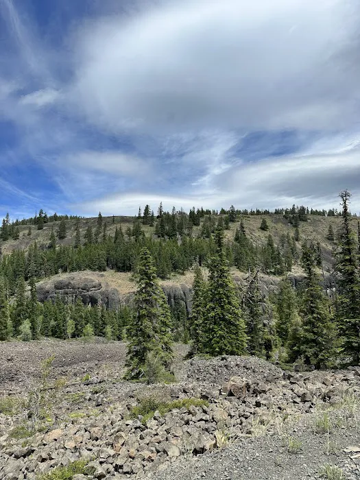 Manastash Campground Picture 1