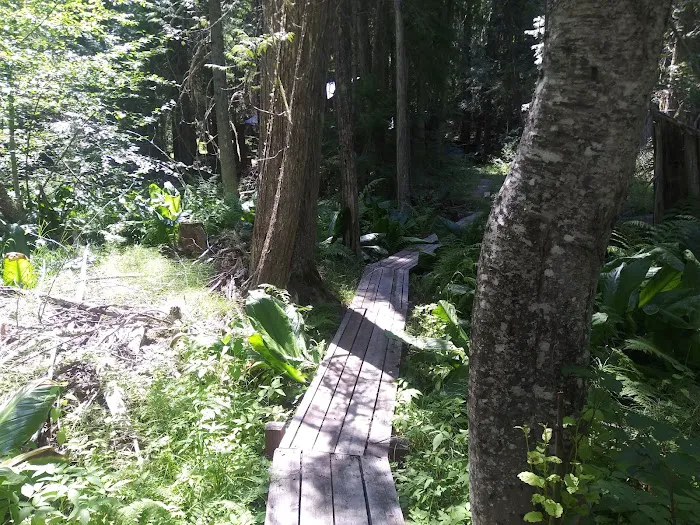 Sawmill Flat Campground Picture 10