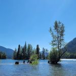 American Forks Campground