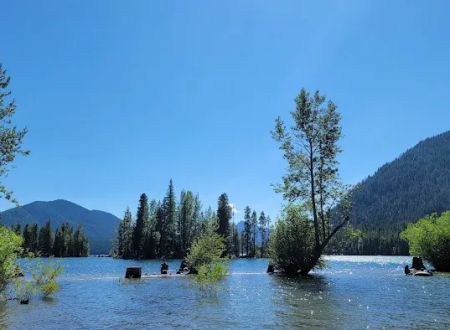 American Forks Campground