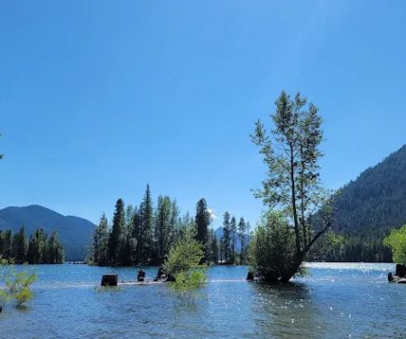 American Forks Campground