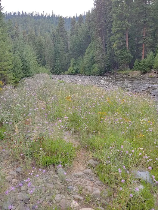 American Forks Campground Picture 3