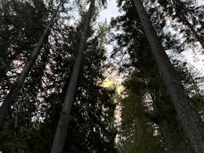 American Forks Campground Picture 4