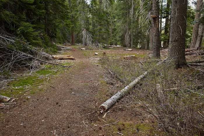 American Forks Campground Picture 6