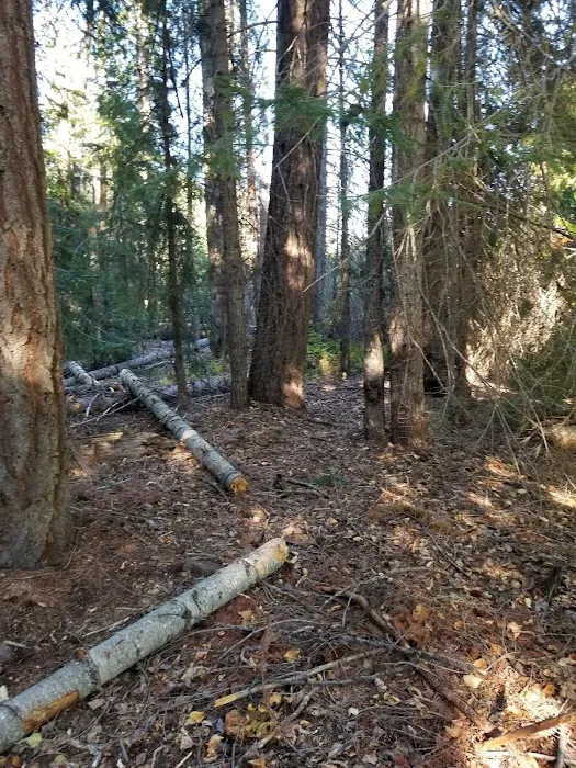 American Forks Campground Picture 9