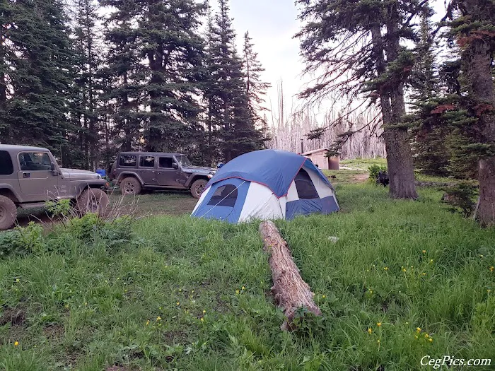 Lion Rock Spring Campground Picture 2