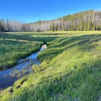 Ken Wilcox Horse Camp at Haney Meadows ico