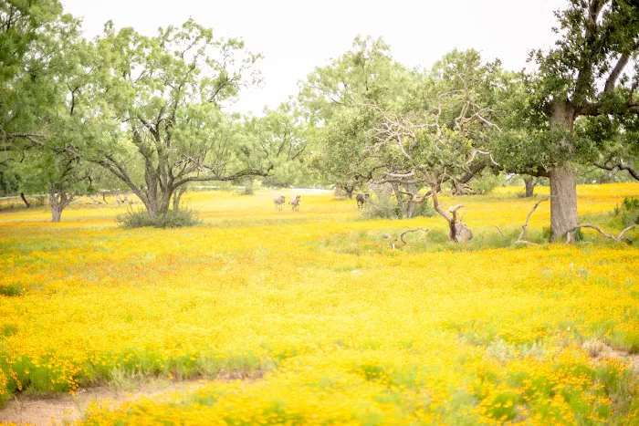 Freedom Lives Ranch RV Resort Picture 4