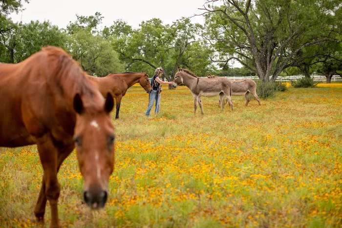 Freedom Lives Ranch RV Resort Picture 6