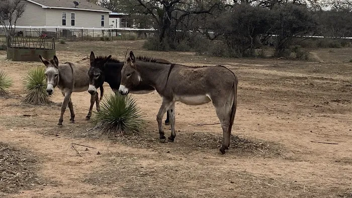 Freedom Lives Ranch RV Resort Picture 8