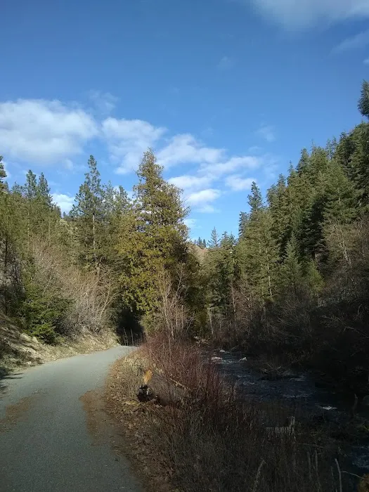 Pine Flats Campground Picture 2