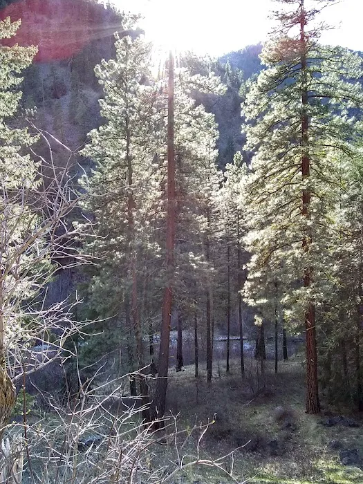 Pine Flats Campground Picture 3