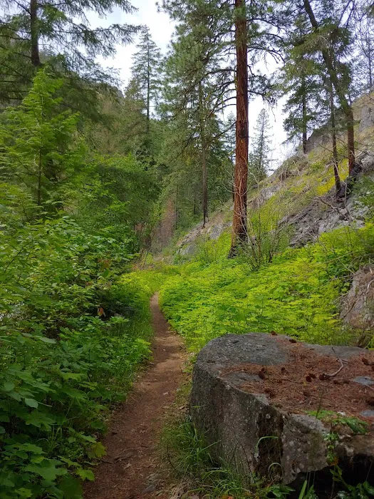 Pine Flats Campground Picture 5
