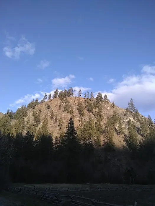 Pine Flats Campground Picture 6