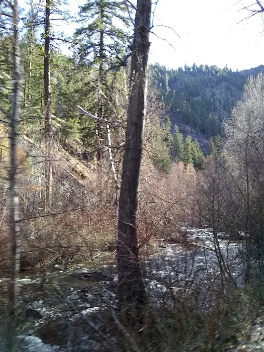 Pine Flats Campground Picture 8