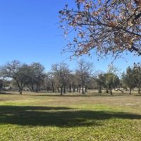 Lake Park Buchanan ico
