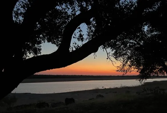 Lake Park Buchanan Picture 4