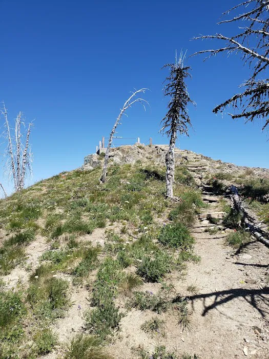 Junior Point Campground Picture 7