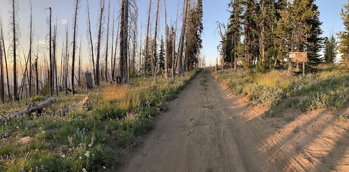Junior Point Campground Picture 9
