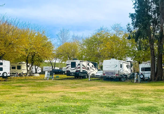 Rancho Marina RV Park Picture 7
