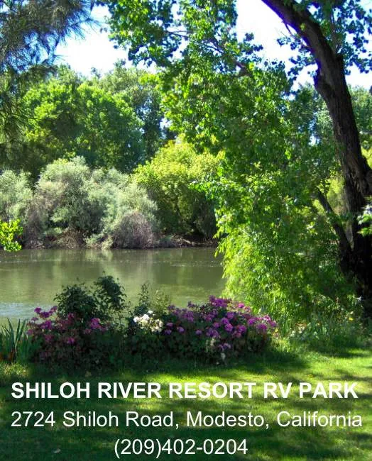 Shiloh River Resort (private property) Picture 3
