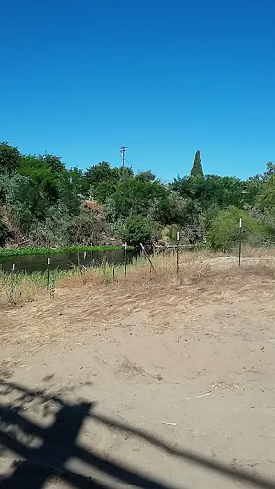 Shiloh River Resort (private property) Picture 10