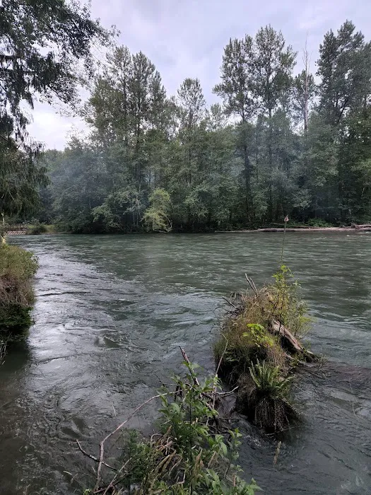 Cascade Wagon Road Campground Picture 4