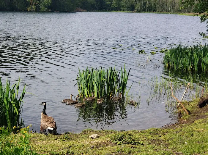 Grandy Lake Campground Picture 4