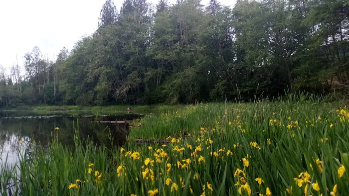Grandy Lake Campground Picture 9