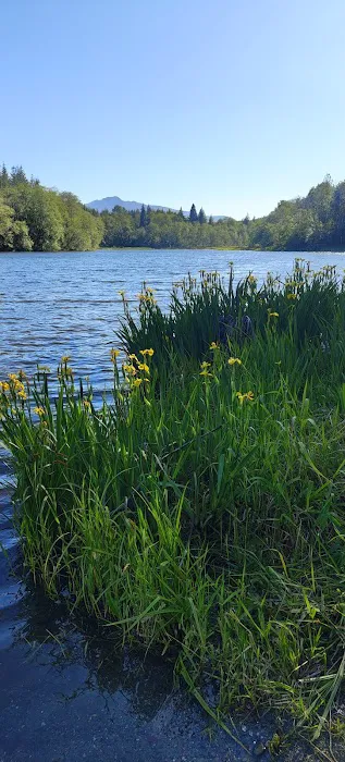 Grandy Lake Campground Picture 8