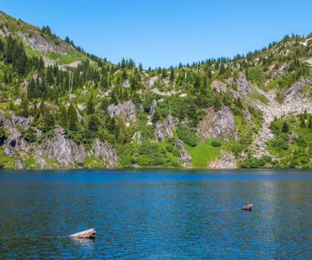 Monogram Lake Campground