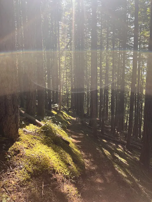 Monogram Lake Campground Picture 6