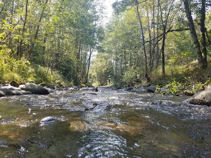 Grandy Creek Thousand Trails Picture 4