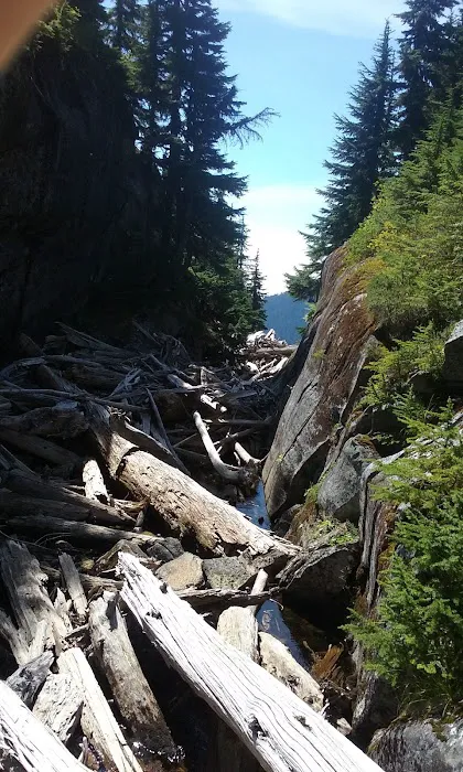 Thornton Lake Campground Picture 5