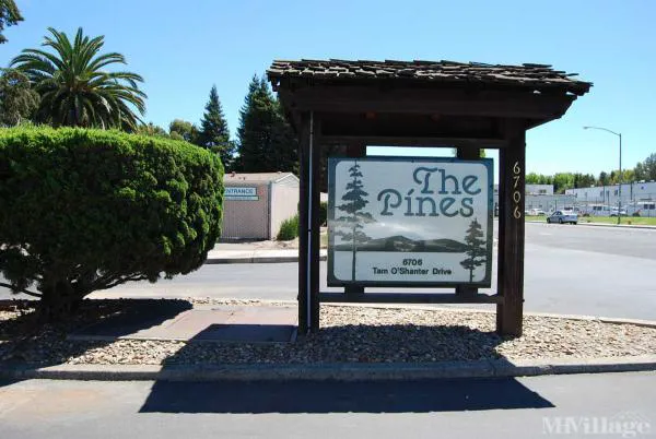 The Pines Mobile Estates Picture 3