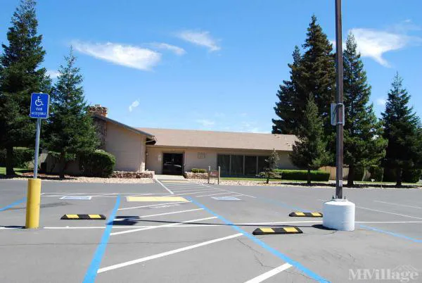 The Pines Mobile Estates Picture 2