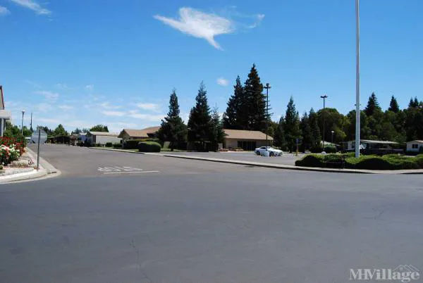 The Pines Mobile Estates Picture 7