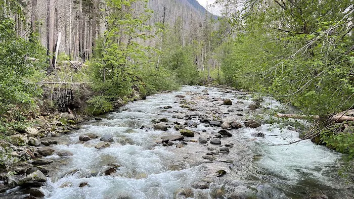 Newhalem Creek Campground Picture 6